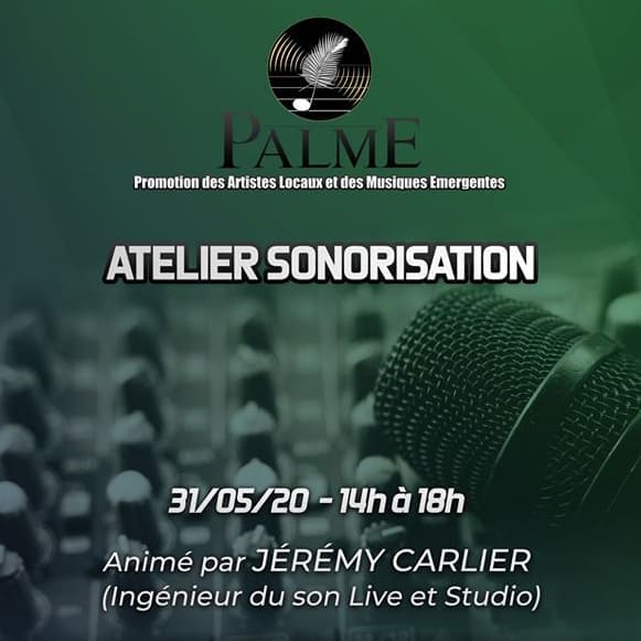Atelier Sonorisation - PALME 2020